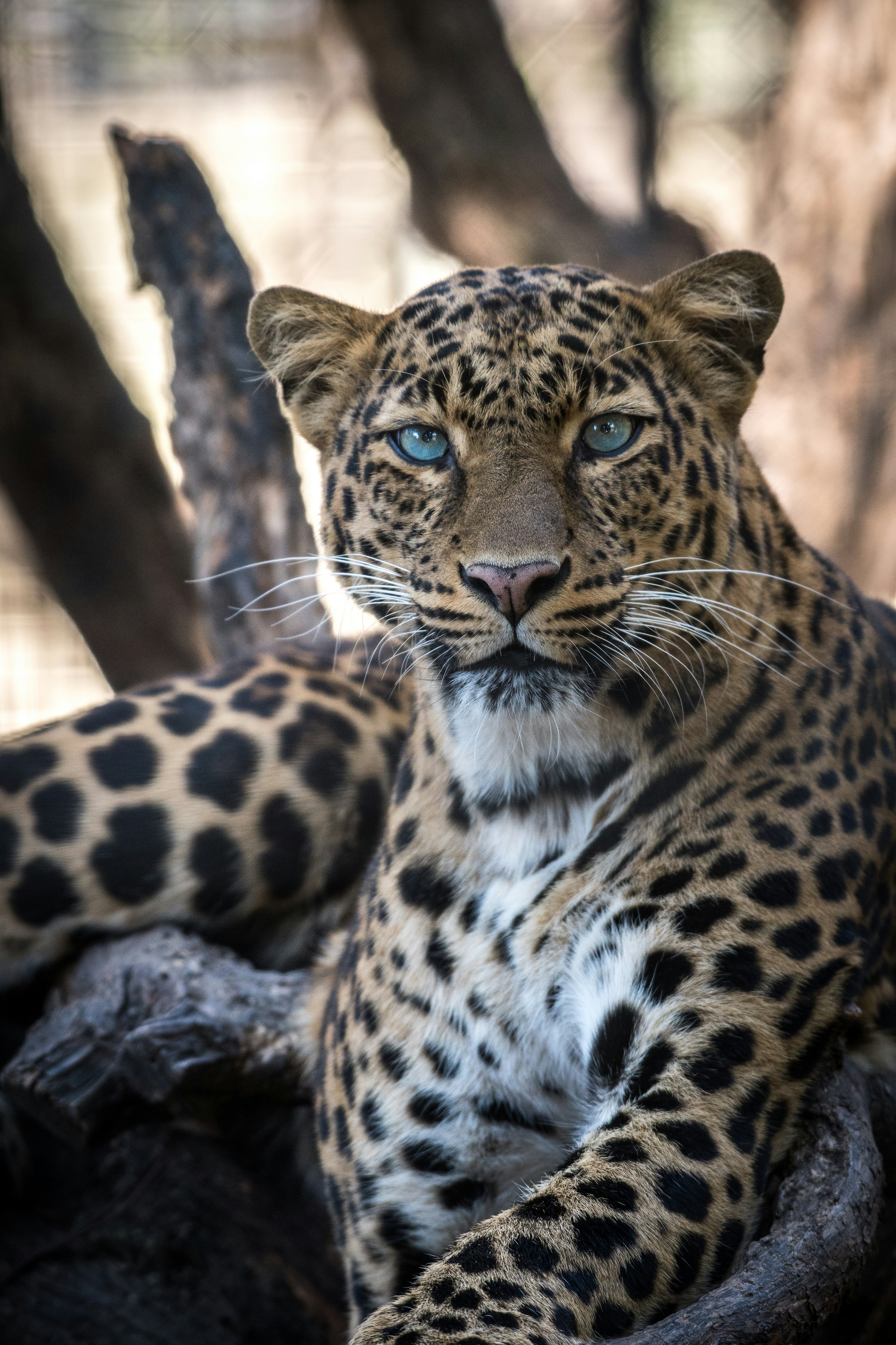 Luxury Bush Escape — Samburu & Tsavo